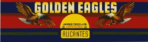 Golden Eagles